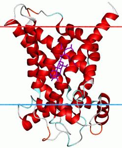 1okc » Mitochondrial ADP/ATP carrier